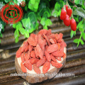 Conventional Goji Berry B Grade 380 Low Pesticide Goji Berries